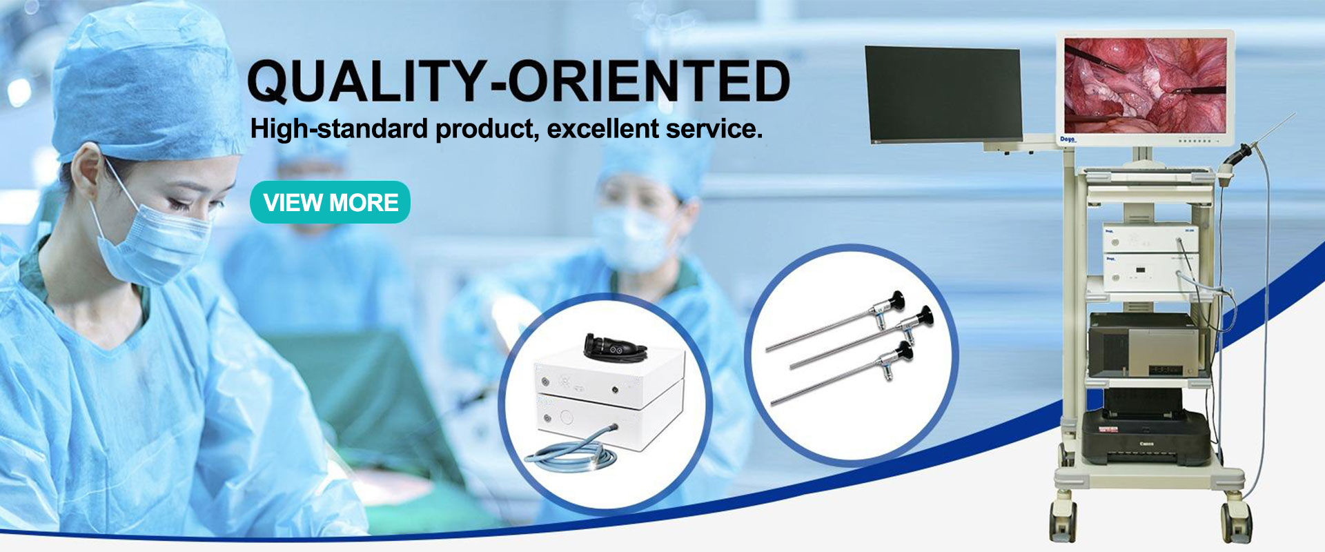 Endoscopes and camera systems